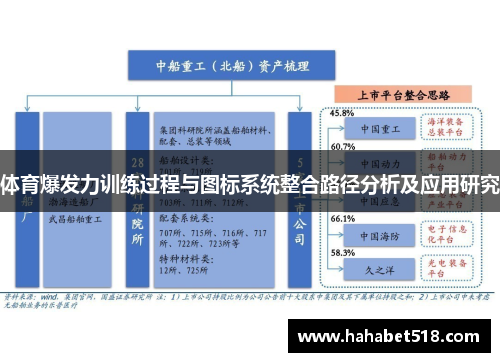 体育爆发力训练过程与图标系统整合路径分析及应用研究